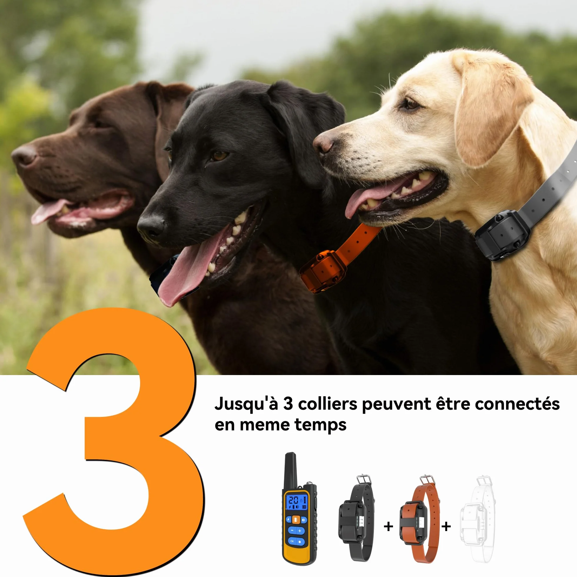 Meloive Collier de Dressage pour Deux Chiens,Collier Rechargeable avec Contrôle Manuel Portée 3000 Mètres,4 Modes d'Entraînement Choc Électrique/Sonore/Vibration/Lumière,IPX67 Résistant à l'eau