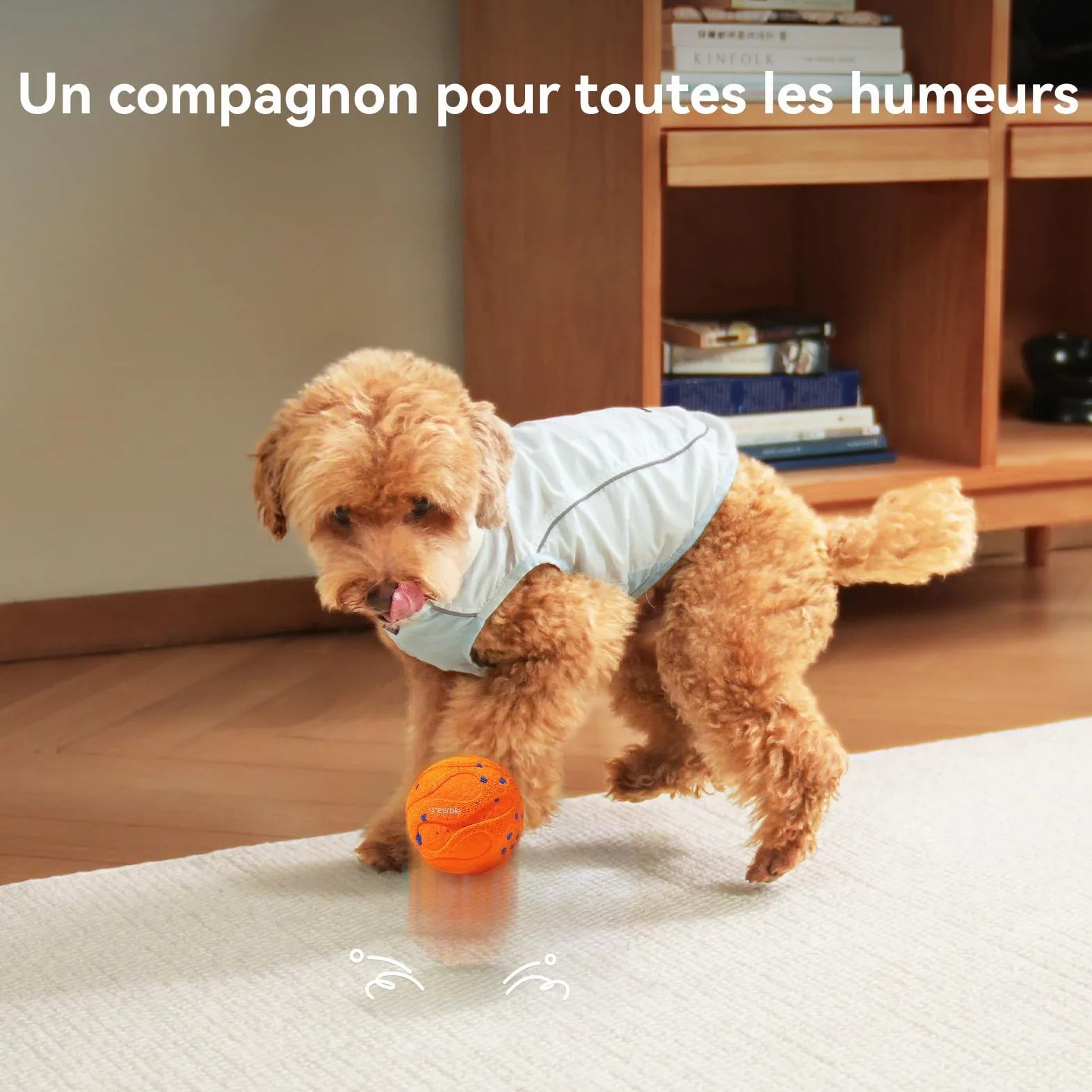 Cheerble Wicked Ball Air Neo – Le Ballon interactif Qui Calme Votre Chien avec Mode apaisant imitant Les battements de cœur, Auto-Rotatif, E-TPU, IPX7 étanche, pour Petites et Grandes Races, Orange