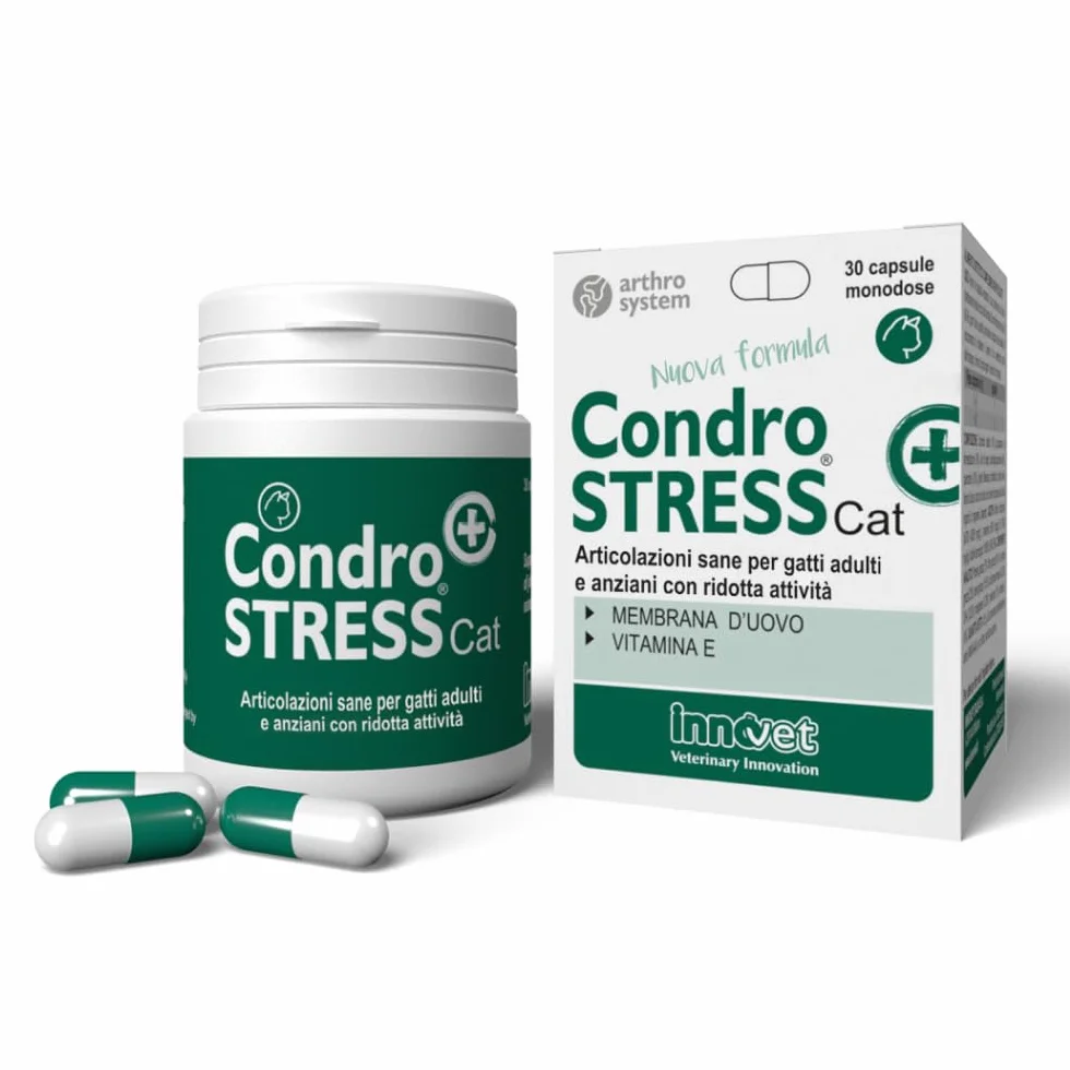 Innovet Condrostress Cat Complément Alimentaire Articulaire pour Chats Adultes et Âgés, Confort Articulaire, Mobilité, Collagène, Chondroïtine, Acide Hyaluronique - 30 gélules