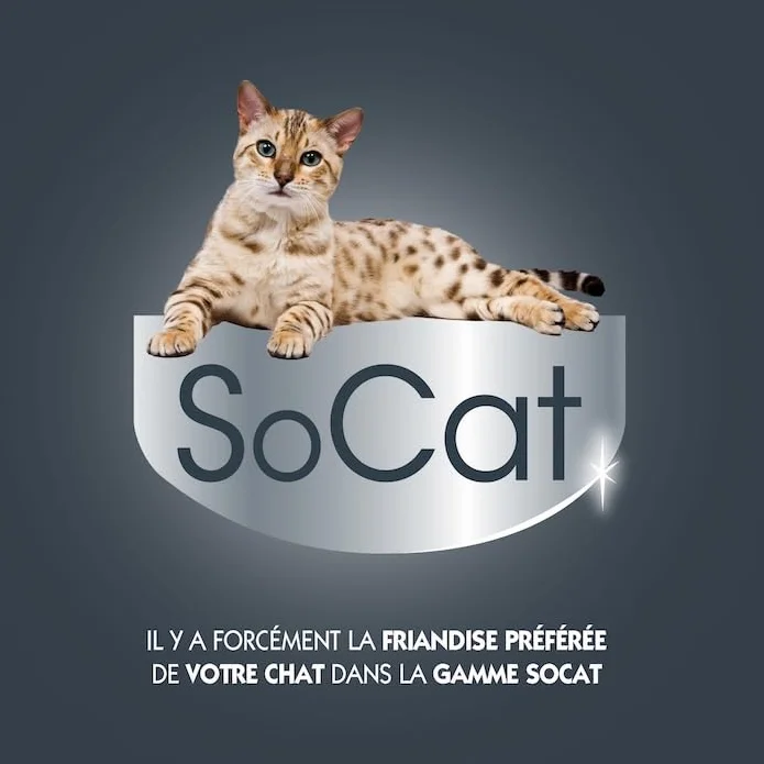 Riga - Socat Lick Quid - Friandises pour Chat - Snack Humide Au Thon - Crème A Lécher - Riche en Protéines - sans Céréales - Faible en Graisses - Récompense Idéale - Maxi Pack - 90 g