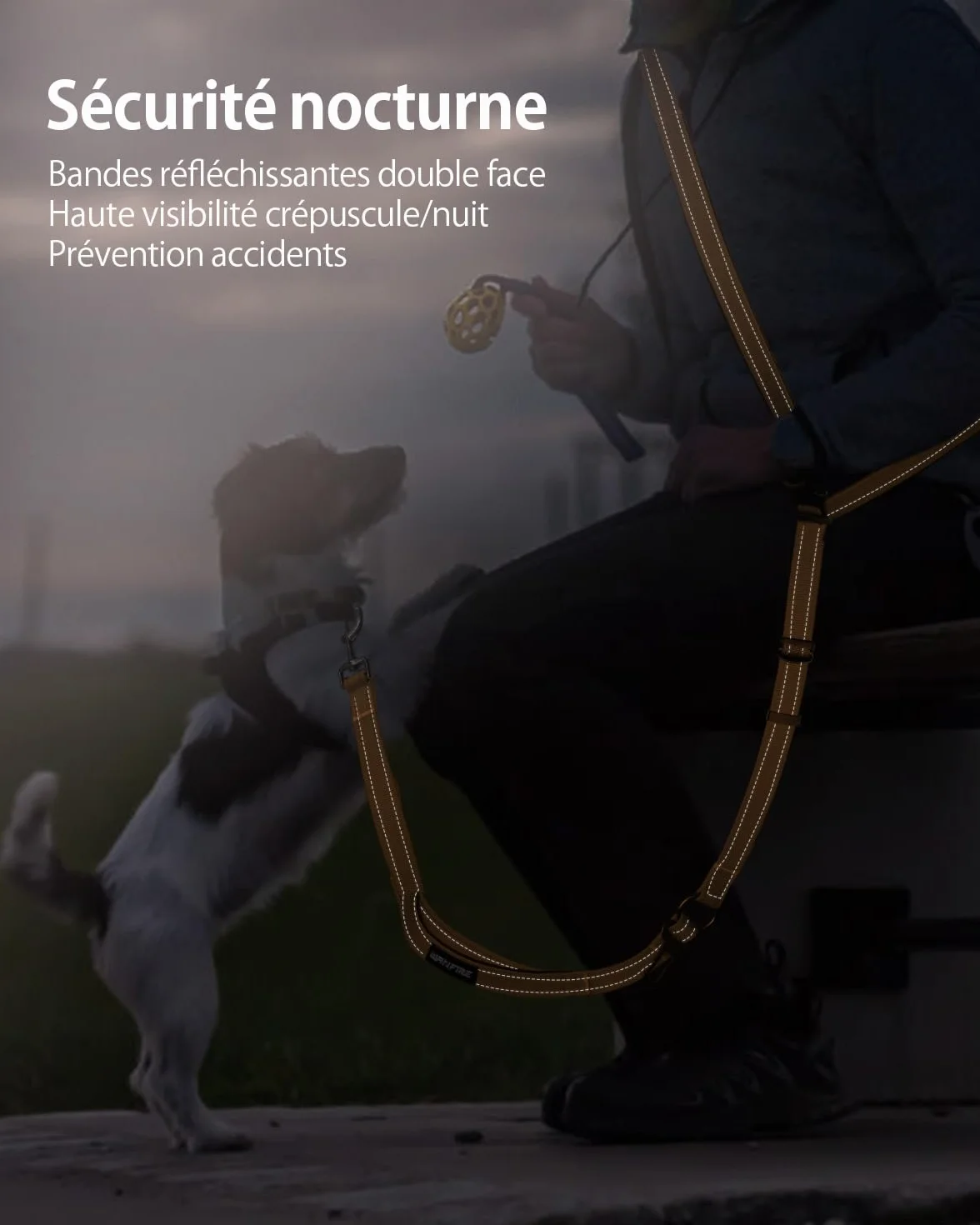 Harnais de Marche Main Libre pour Chien - Laisse Multifonctionnelle Renforcée 2.9m Réglable, Orange