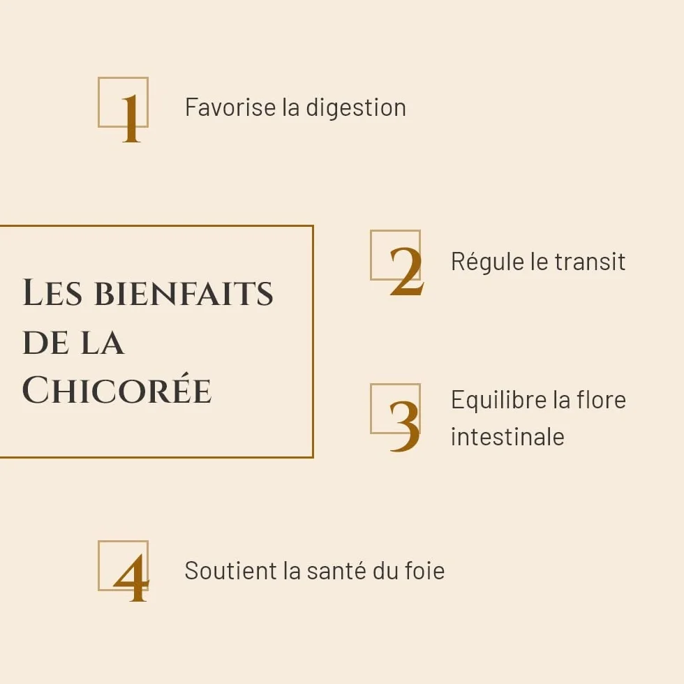 CHICORÉE Complément nutritionnel Cheval Seau 1 kg Digestion Flore intestinale Marque Française