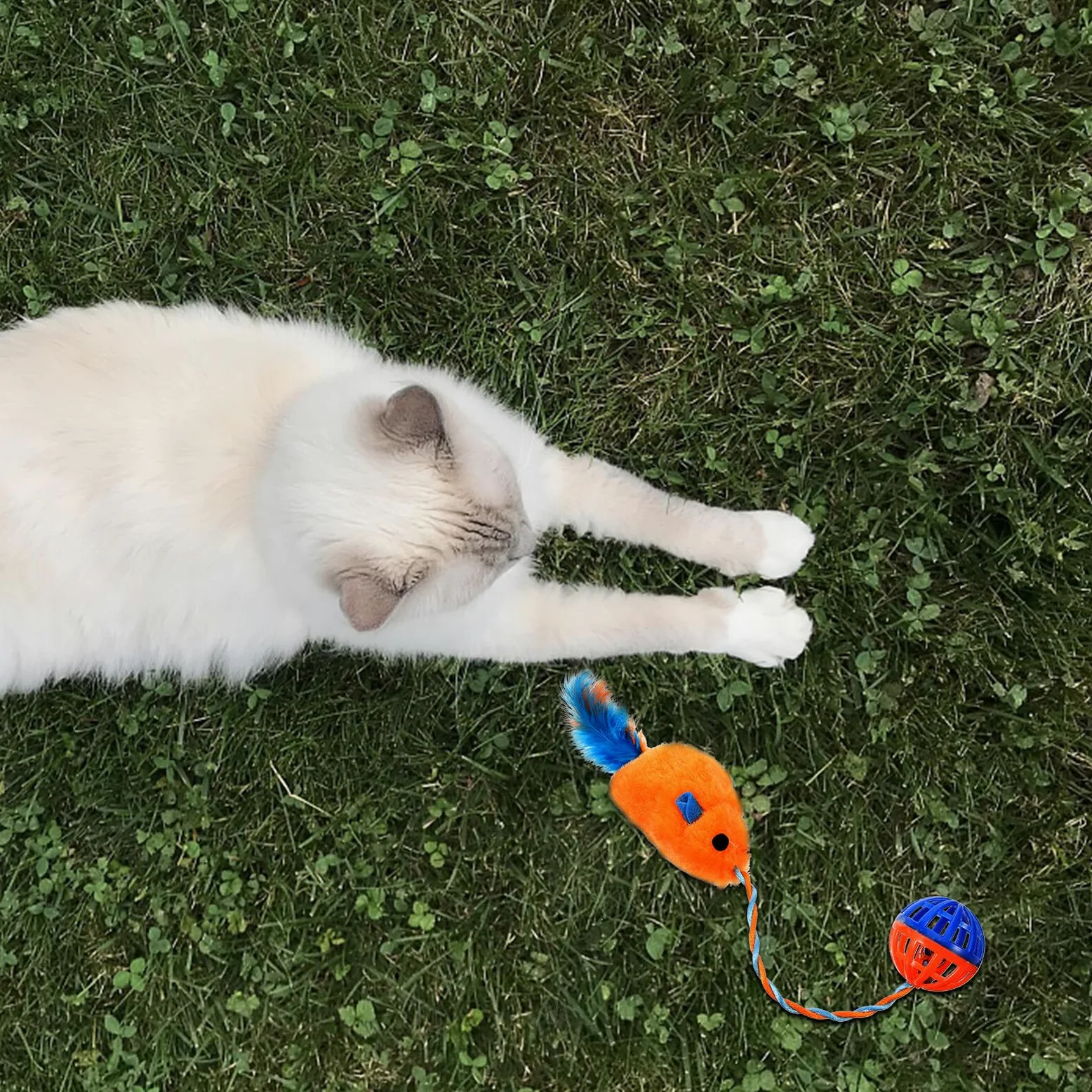 Souris Chat Peluche avec Cloche Plastique Interactif Résistant pour Chat Balle Orange Stimulante pour Activité Physique et Griffades pour Chatons