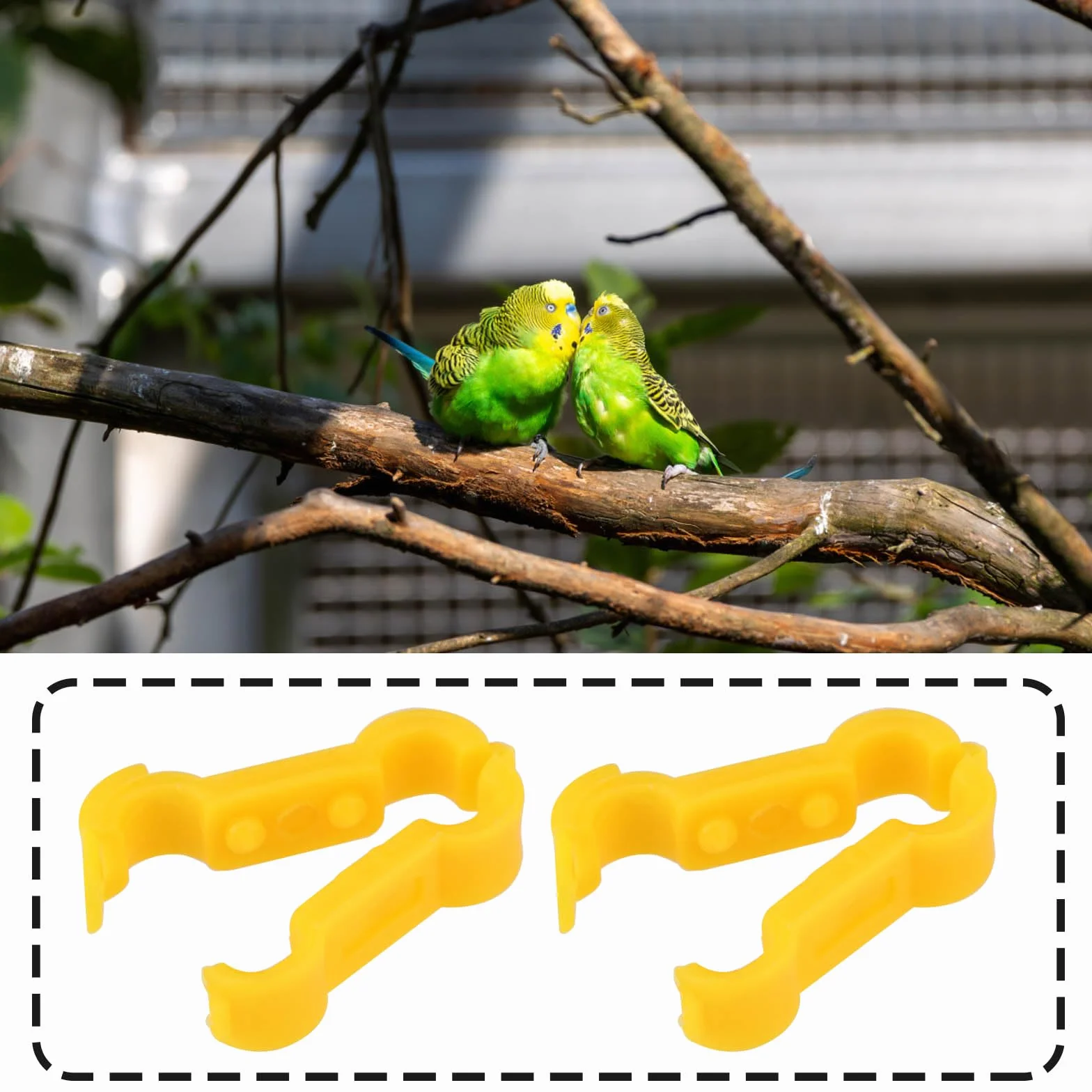 Bagues de Traitement pour Pattes d'Oiseaux 4mm Lot de 2 pour Perruches Pinsons Cailles