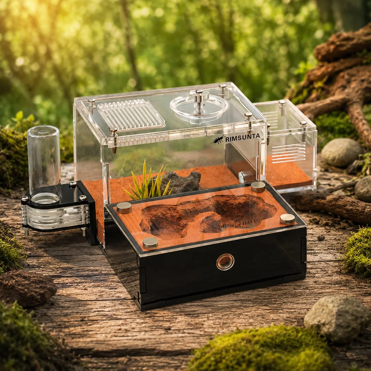 Formicarium Kit Éducatif Habitat de Ferme pour Fourmis Vivantes Reines