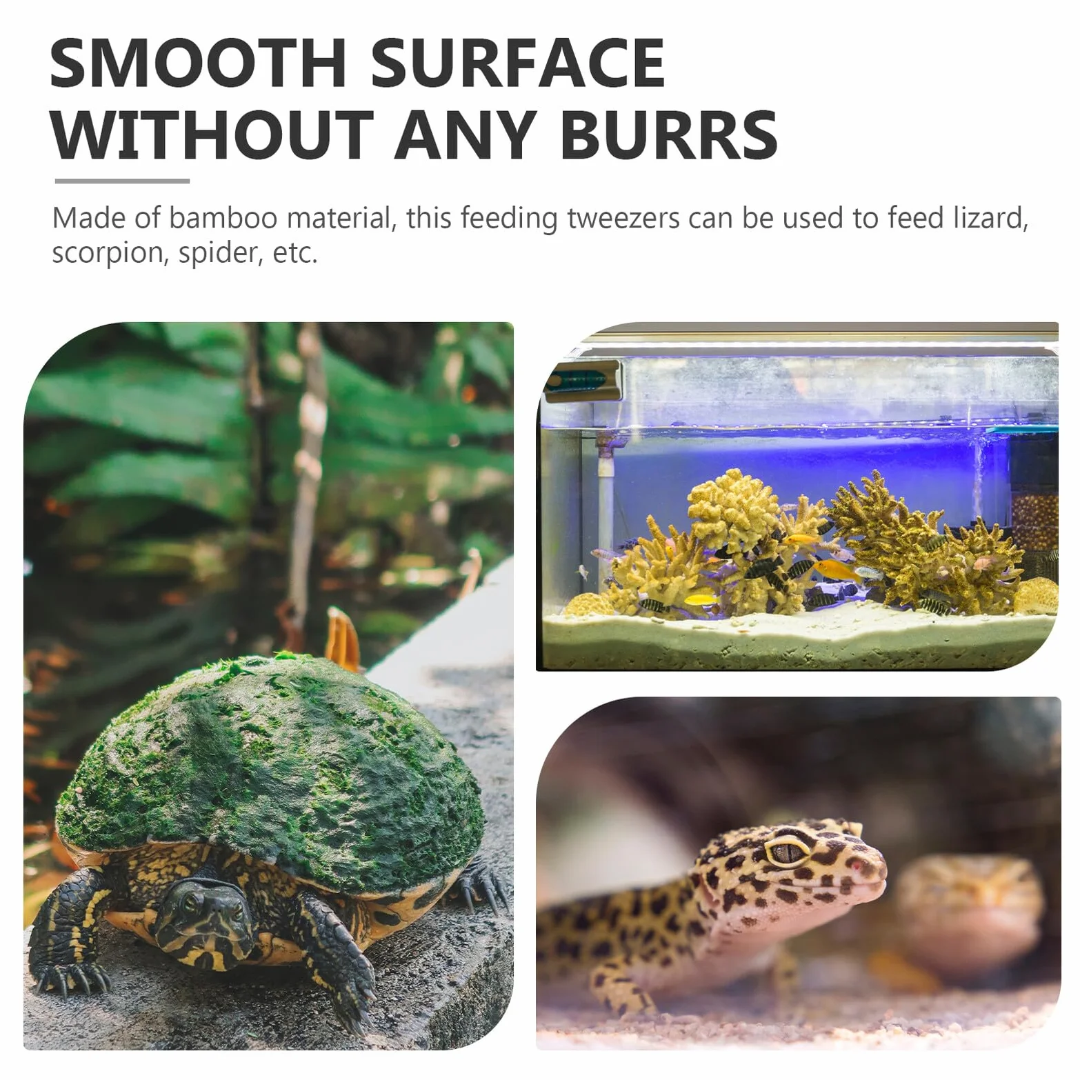 Pince Bambou pour Nourrir Reptiles - Outil Alimentation Sécurisée pour Lézards Serpents Tortues