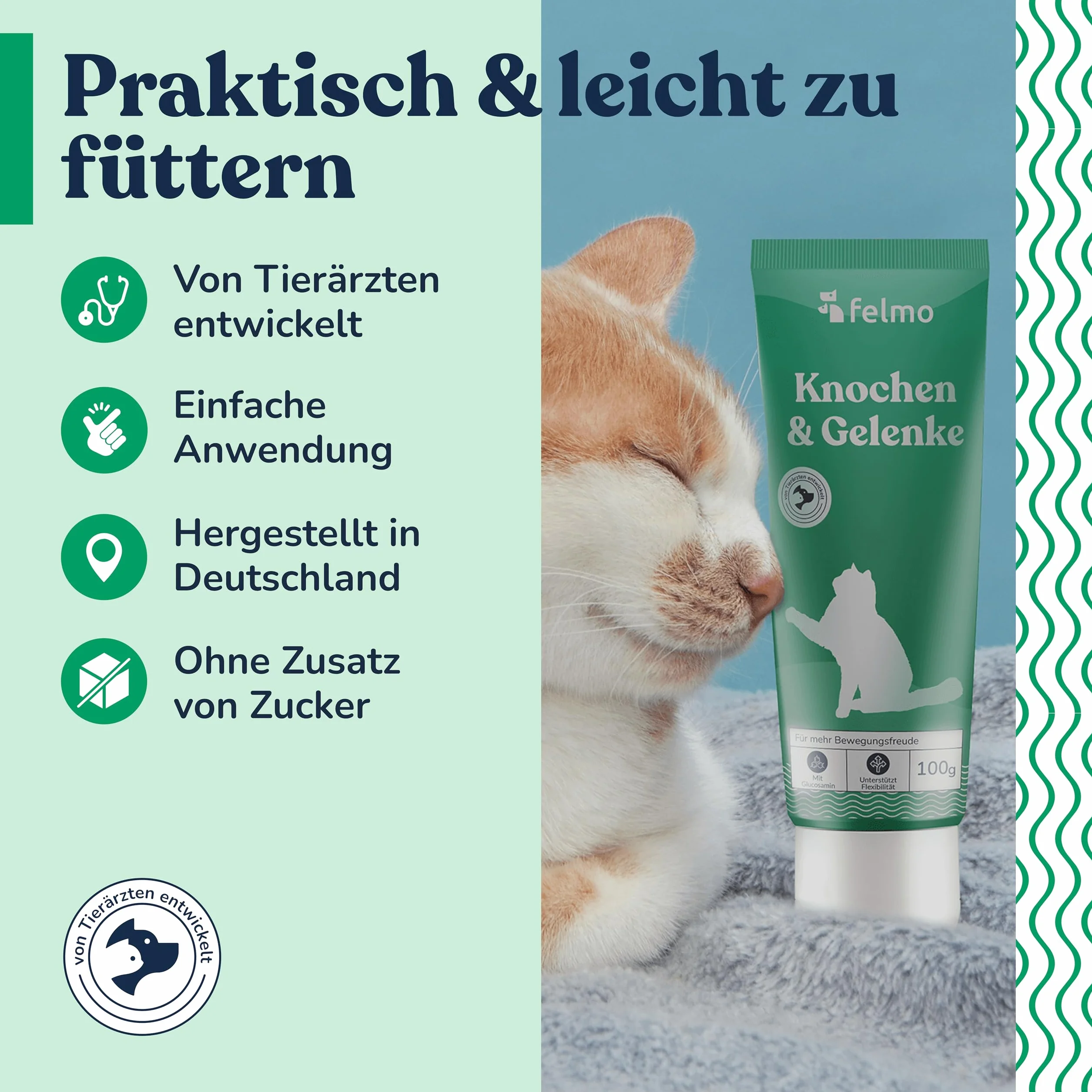 Felmo Pâte Osseuse et Articulaire pour Chats 100 g Flexibilité Liberté de Mouvement