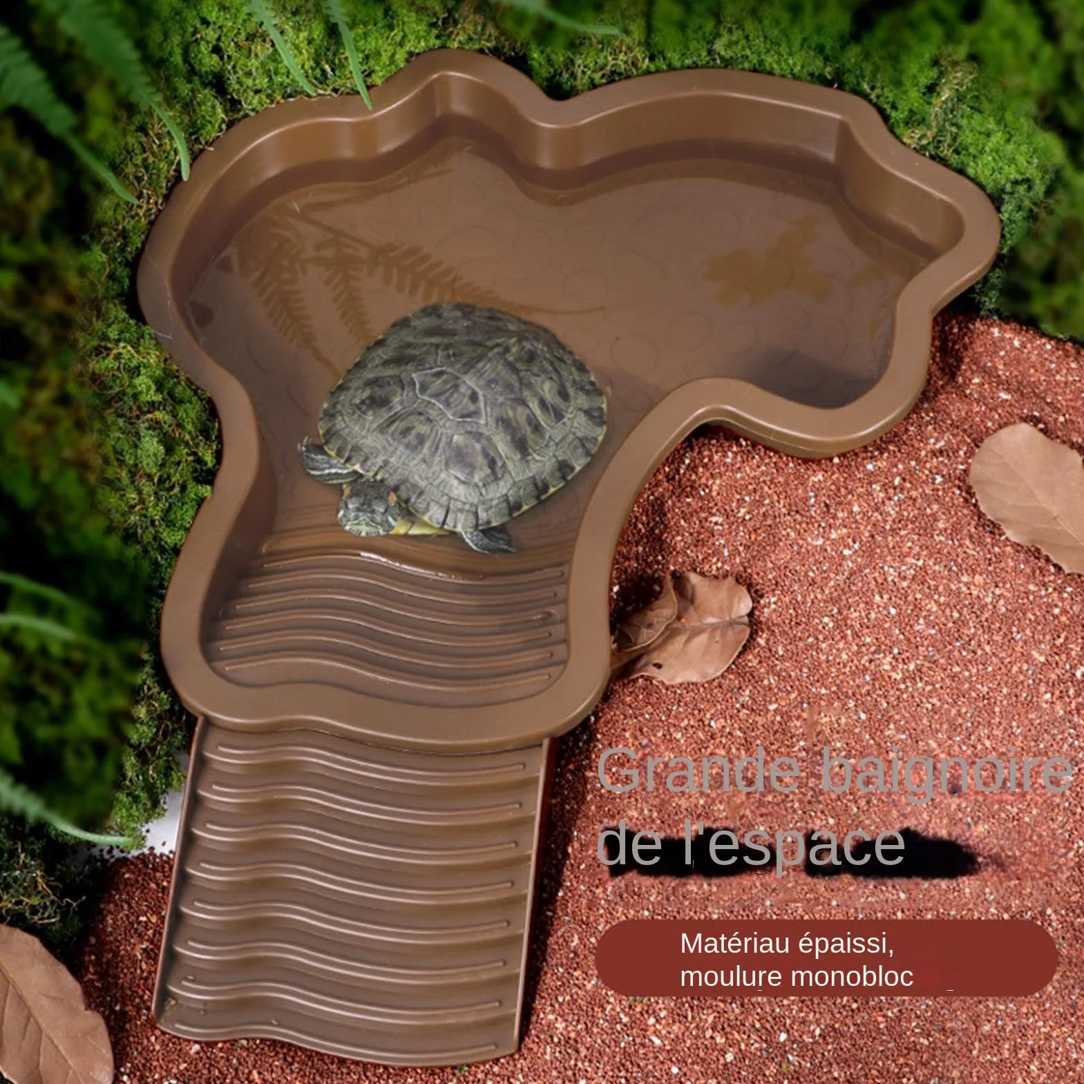 Mangeoire Tortue Piscine 35x28,5x4,3 cm Baignoire Reptiles Bassin de Bain