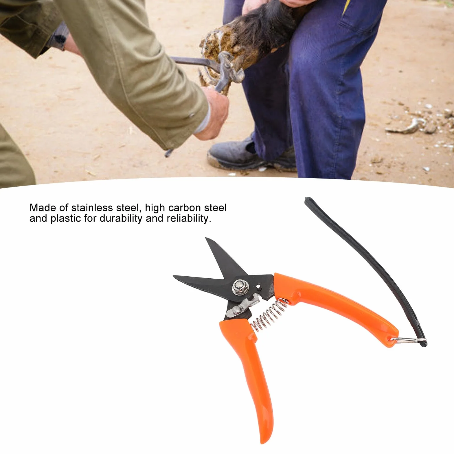 Ciseaux pour onglons en Acier Inoxydable Rouge, Ciseaux pour l’Entretien des onglons en Acier à Haute teneur en Carbone, Ciseaux Professionnels pour la Taille des onglons de