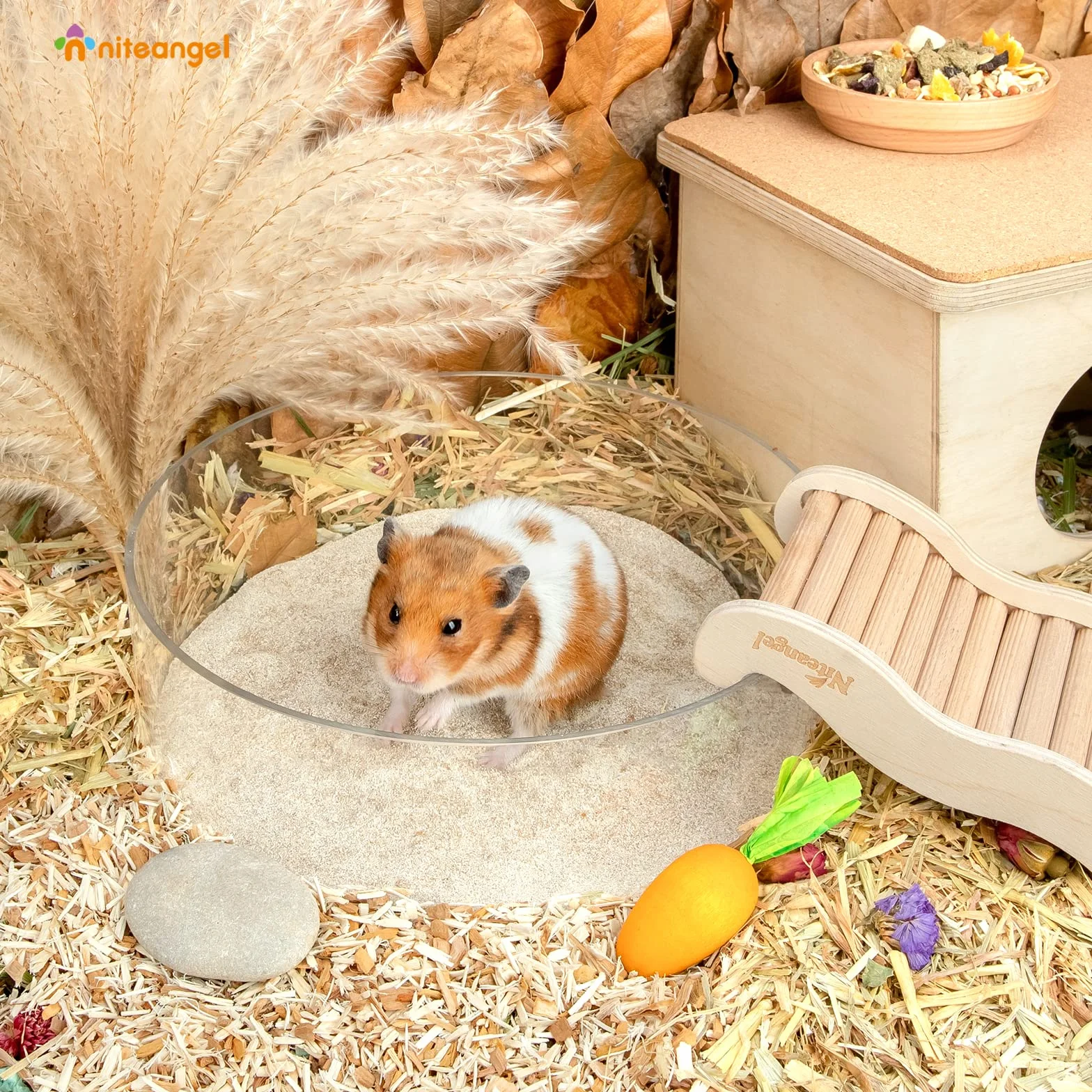 Niteangel Sable de bain désertique sans poussière pour hamsters 1kg