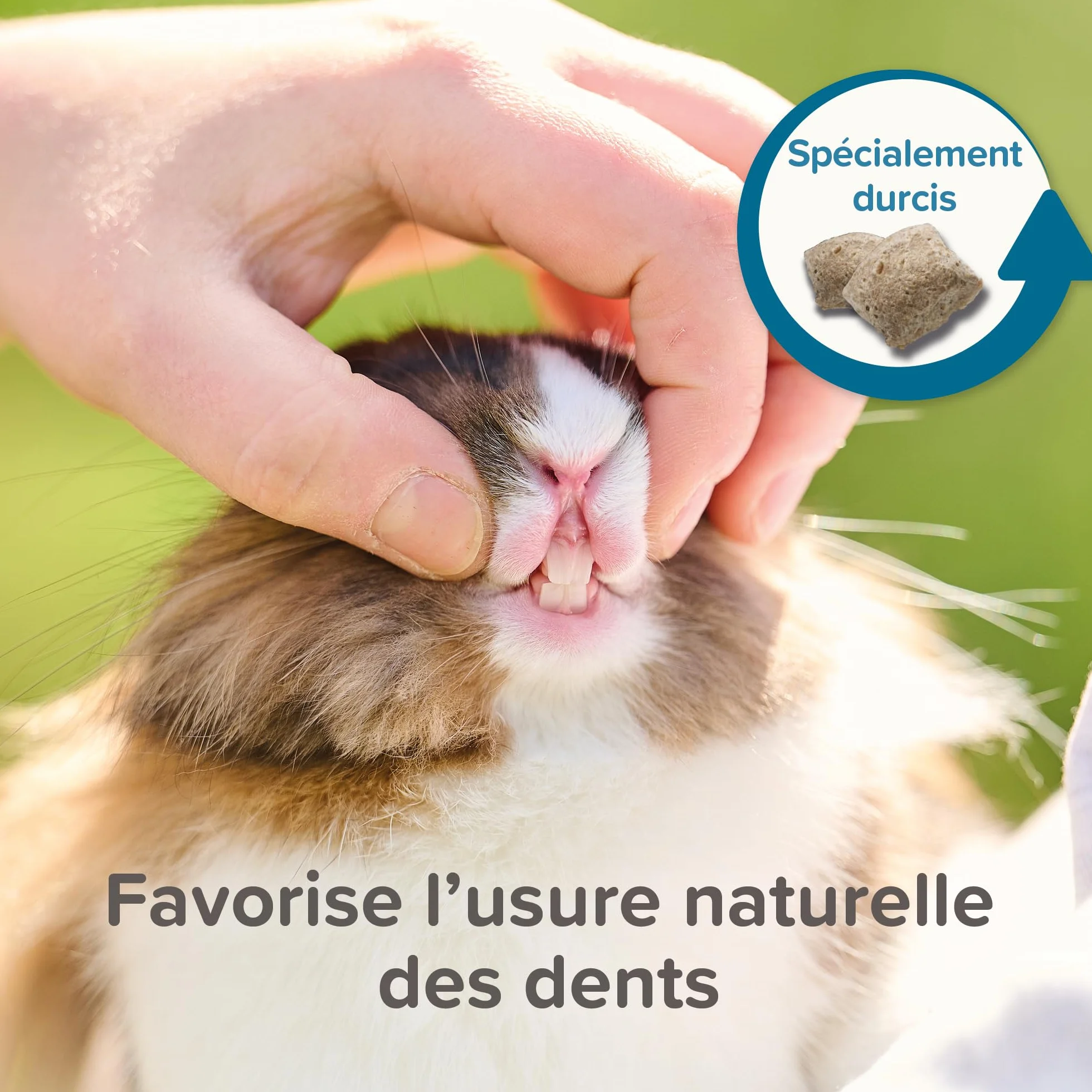 BEAPHAR Care+ Alimentation Super Premium extrudée pour Rat 700g