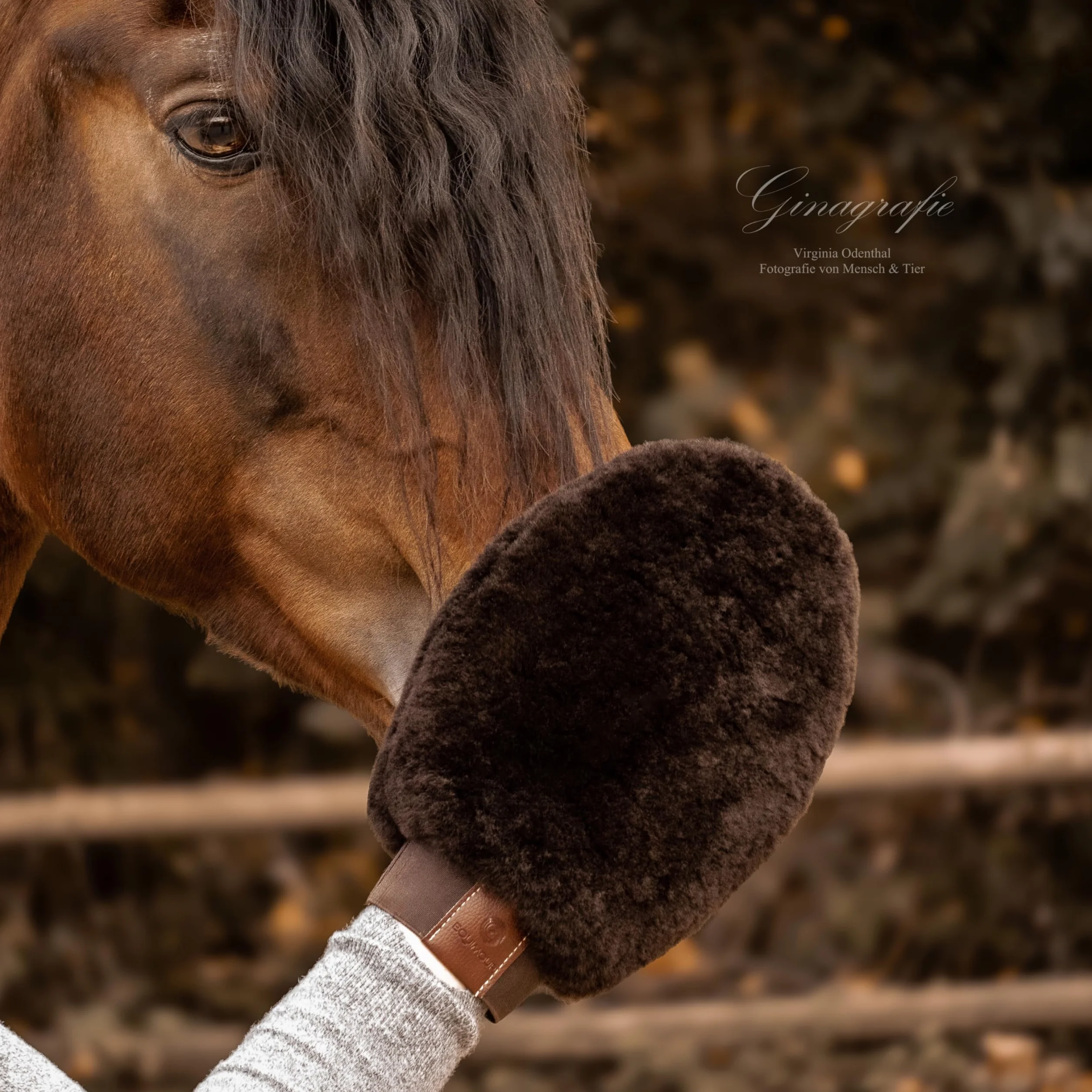 BONNY gant de pansage en peau d’agneau pour cheval – doux, anti-poussière, antistatique
