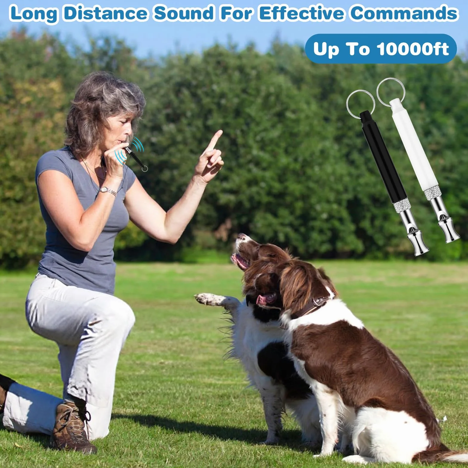 Sifflets professionnels anti-aboiement pour dressage de chiens avec cordon, réglables noir et blanc, lot de 2