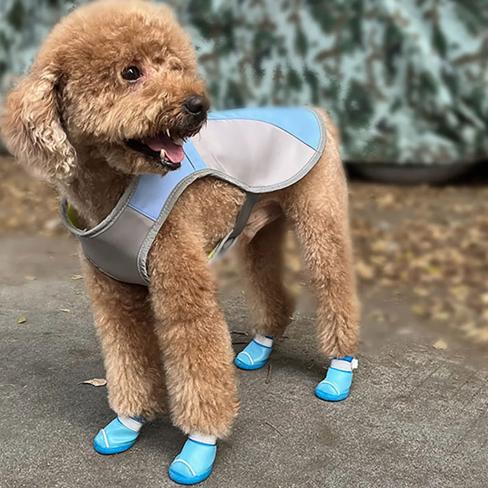 Bottes de Protection pour Chien Ensemble Imperméable Chaussures Chien Antidérapantes Chaussures Chiens Chaudes Résistantes pour Les Chiens