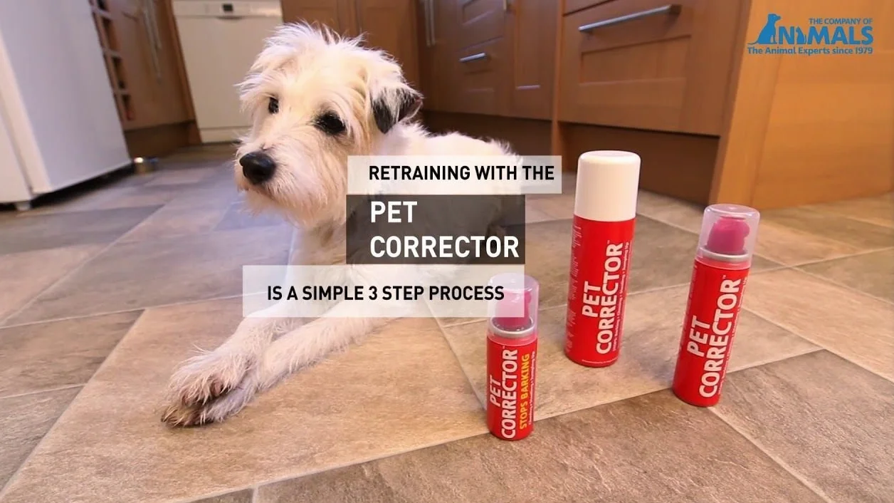 Pet Corrector Sifflement 200 ml pour Interrompre Comportements Indésirables Animal