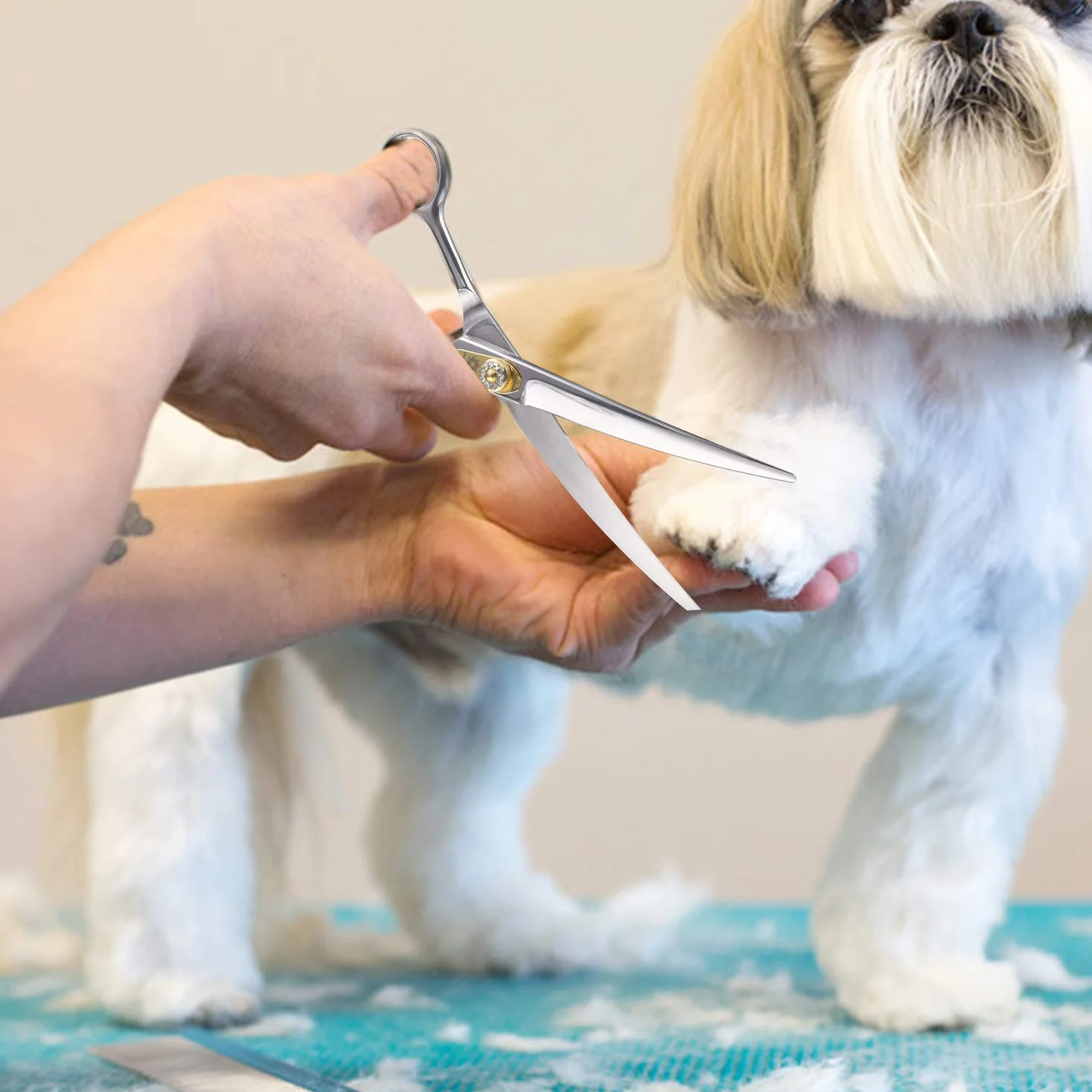 Dream Reach Ciseaux de Chien et de Chat Incurvés - Ciseaux à Poils pour Chiens et Chats - Acier Inoxydable 440C Fait à la Main