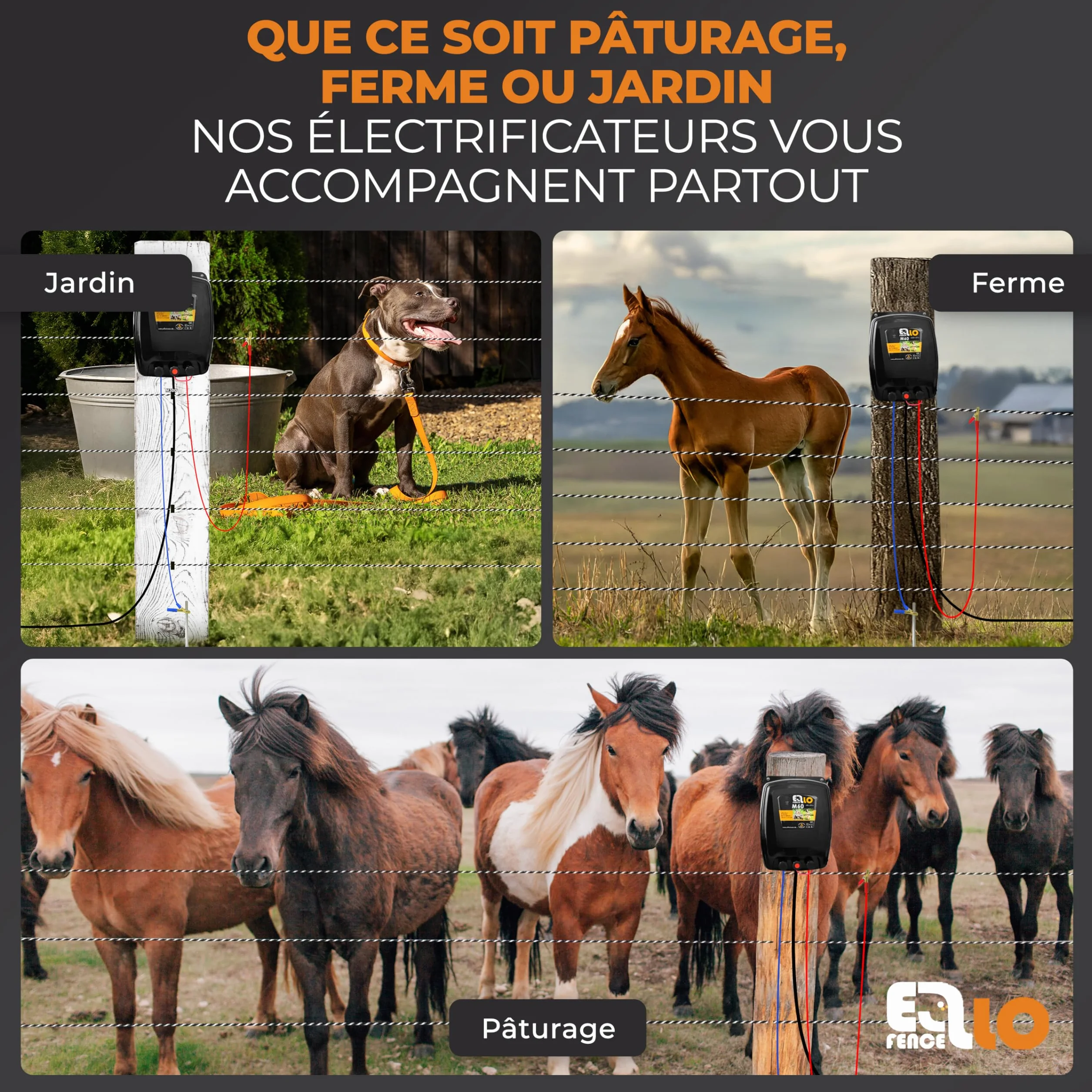 Électrificateur clôture électrique 230 V secteur M60 - Appareil premium pour animaux domestiques et d'élevage