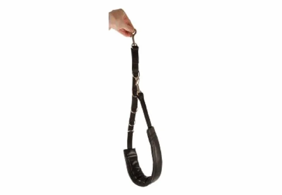 Show Tech - Sangle de toilettage Ventrale Confort : Grand Chien