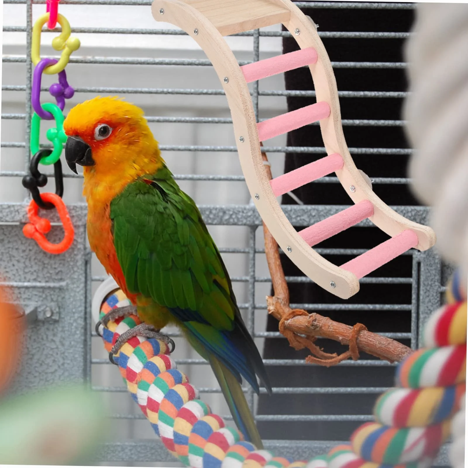 Échelle Cage à Oiseaux Plastique Rose Jouet Escalade Mâcher Perruches