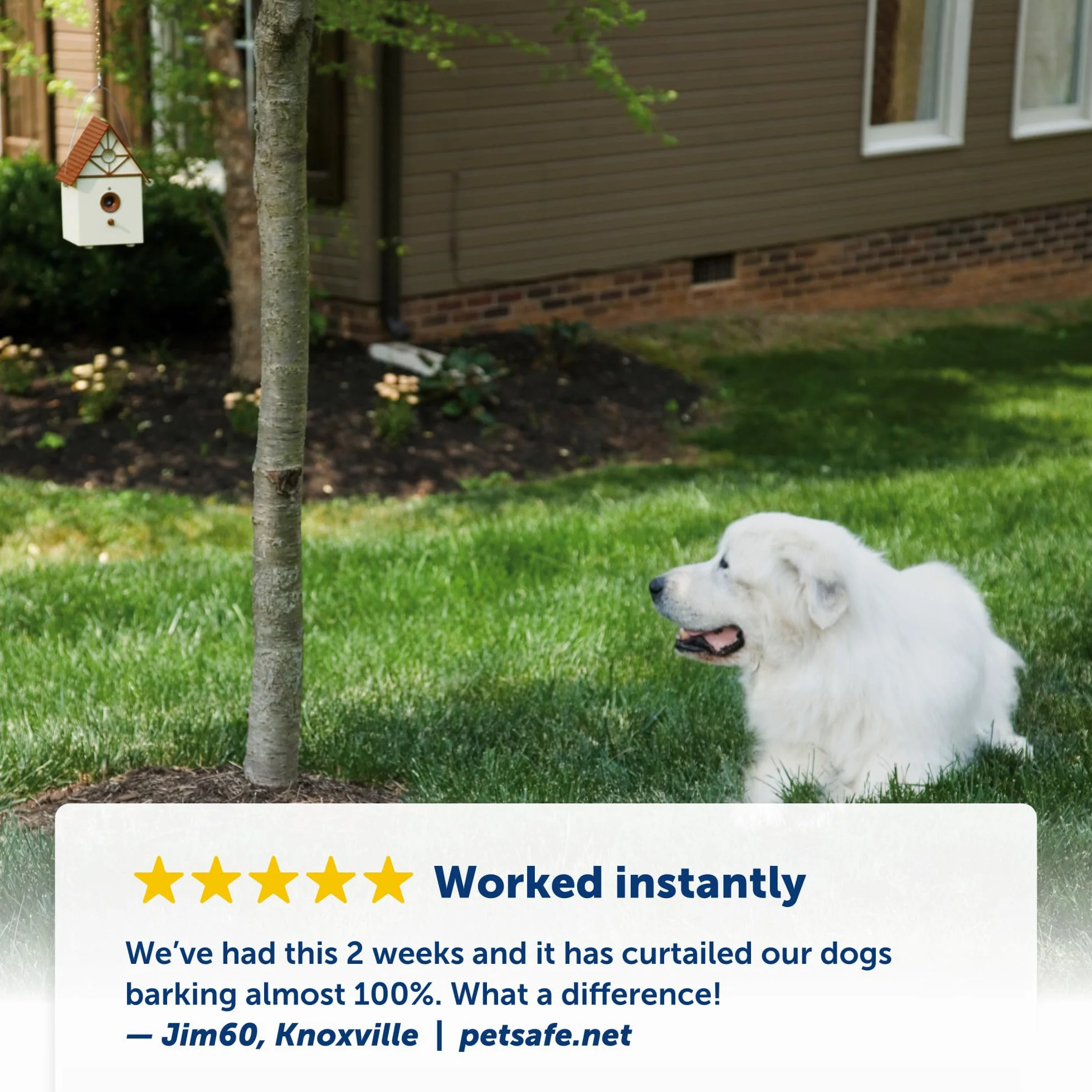 PetSafe PBC00-11216 Outdoor Bark Deterrent