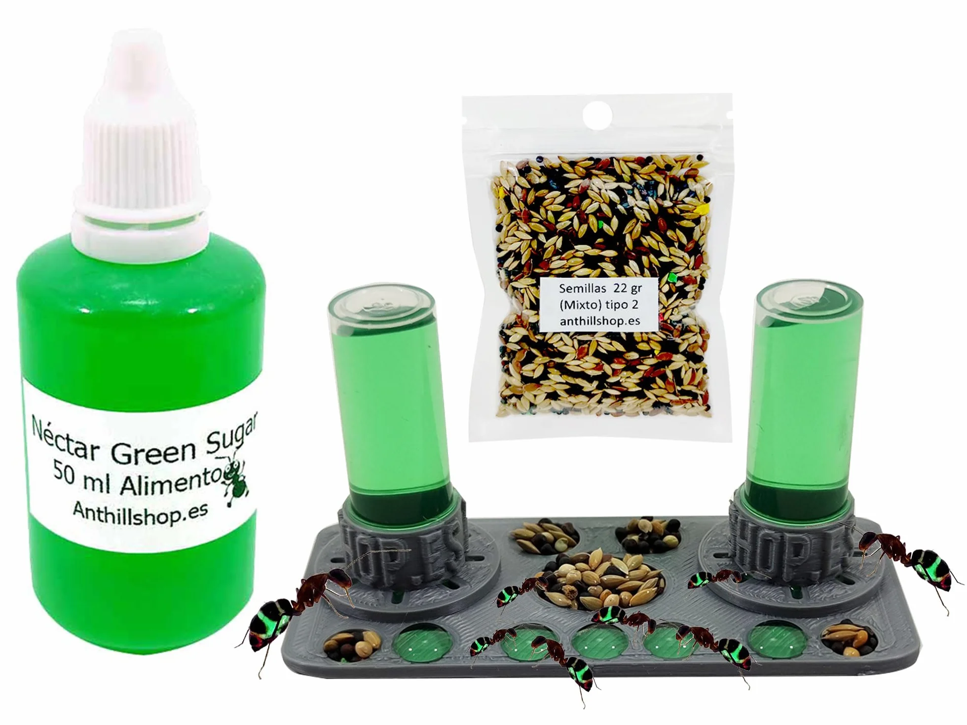 Aliment essentiel pour fourmis - Ferme de fourmis