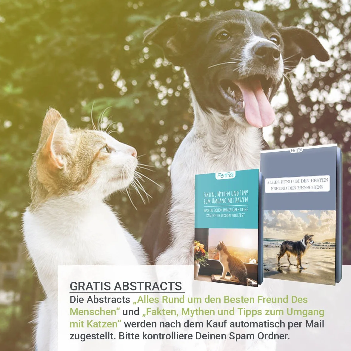 PetPäl Peigne Anti-puces pour Chien & Chat – Peigne Antipuces Professionnel