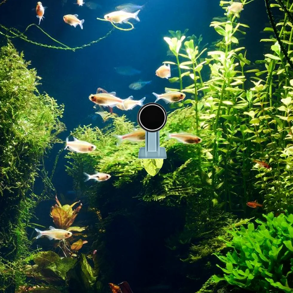 Pinces Magnétiques pour Nourrir les Algues, Mangeoire Magnétique pour Aquarium d'Eau Douce et de Mer
