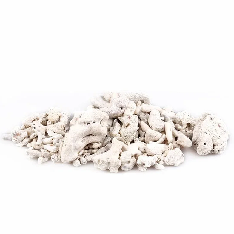 Filtre en os de corail naturel pour aquarium 200 g Matériau biologique moyen Sable de corail pH stable