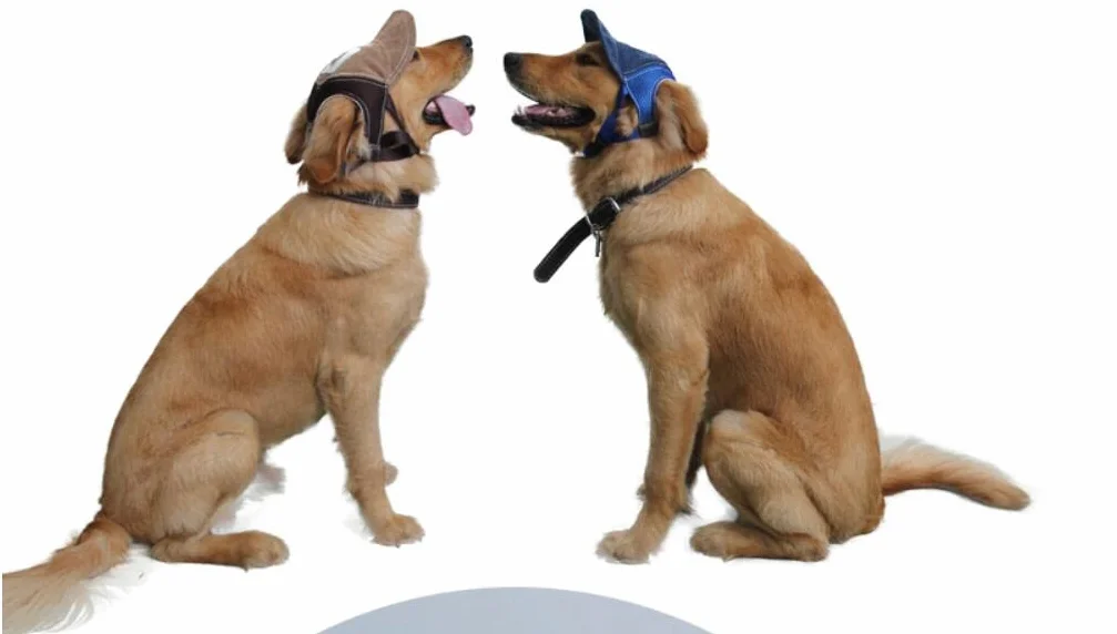 Visière Chien Casquette de Baseball Réglable avec Trous d'Oreille Bleu Café