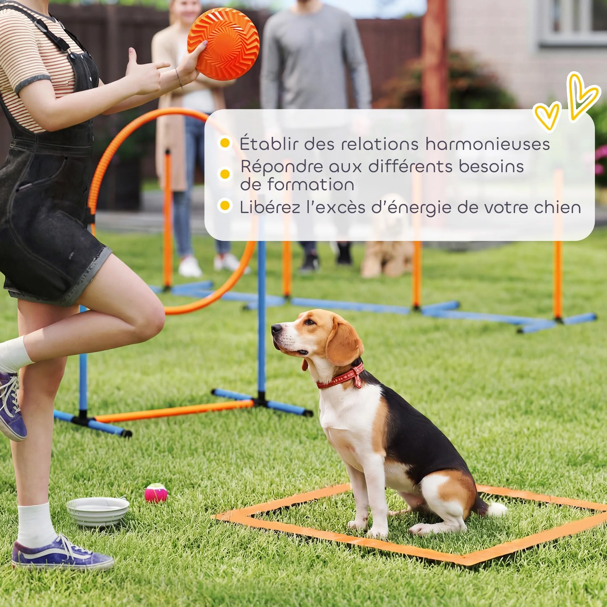 PawHut Ensemble d'Agilité pour Chien 11 Pièces avec 2 Tunnels, Sauts Ajustables, Anneau, Piquets, Zone de Pause, Sac de Transport