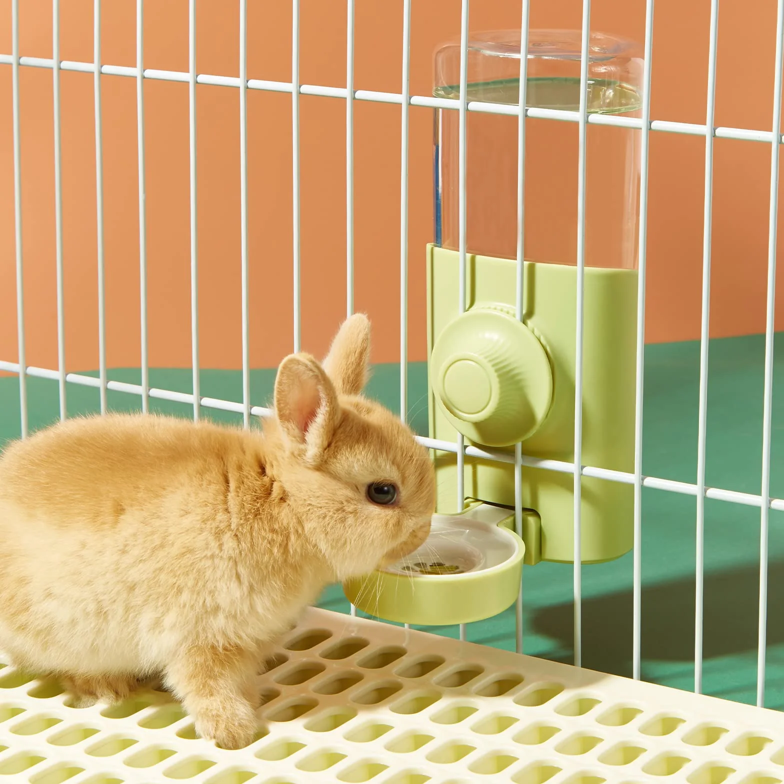 Distributeur Eau Lapin 600ML Suspendue Automatique Anti-Goutte Biberon pour Rongeurs (Vert)