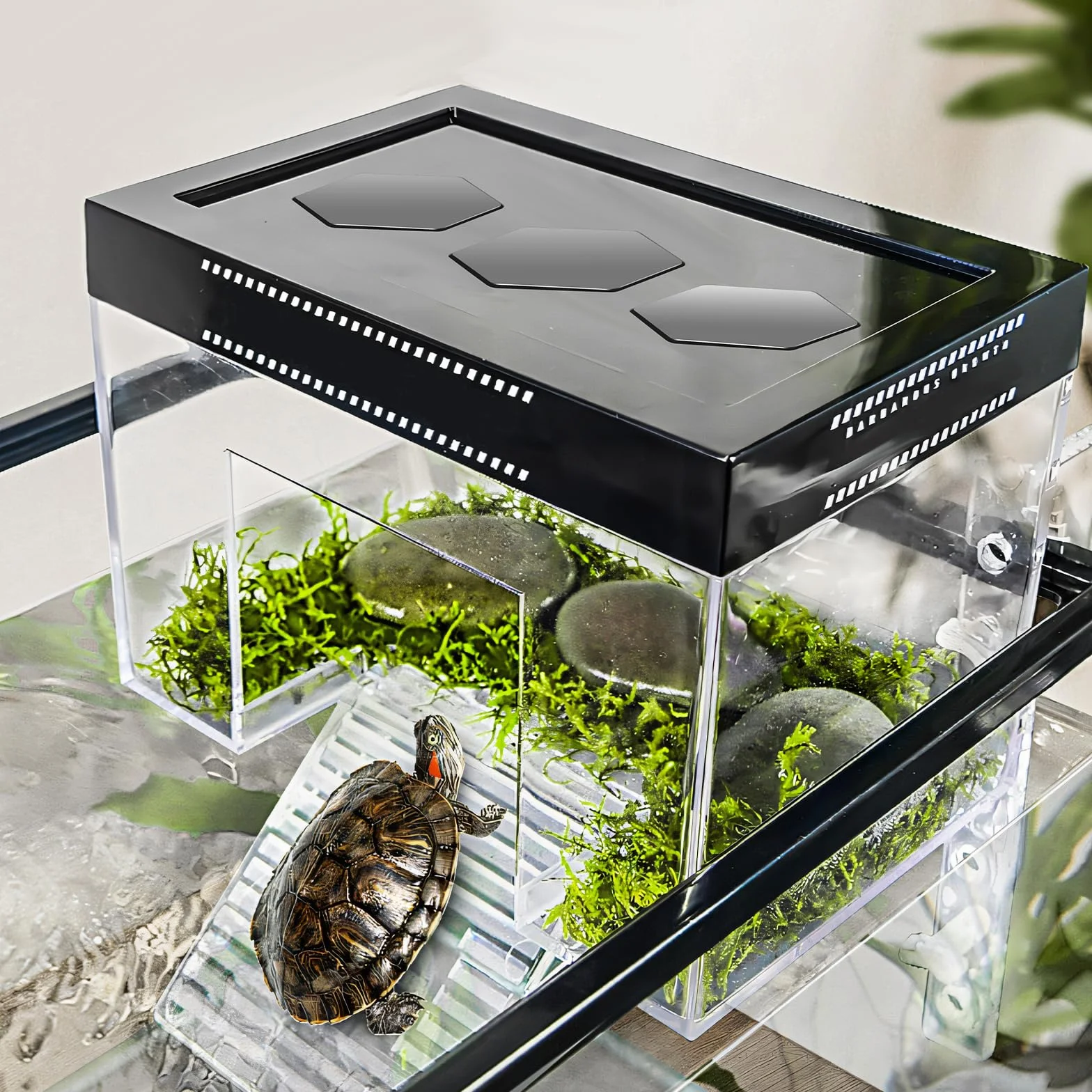 Plateforme de repos suspendue pour tortues à hauteur réglable 25×16×16 cm PC transparent enclos aquarium