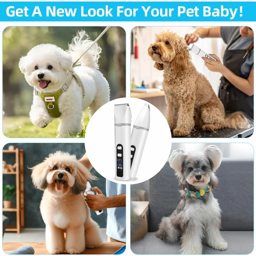 Tondeuse Chat Chien 4 en 1 Silencieuse USB-C avec écran LCD Professionnel