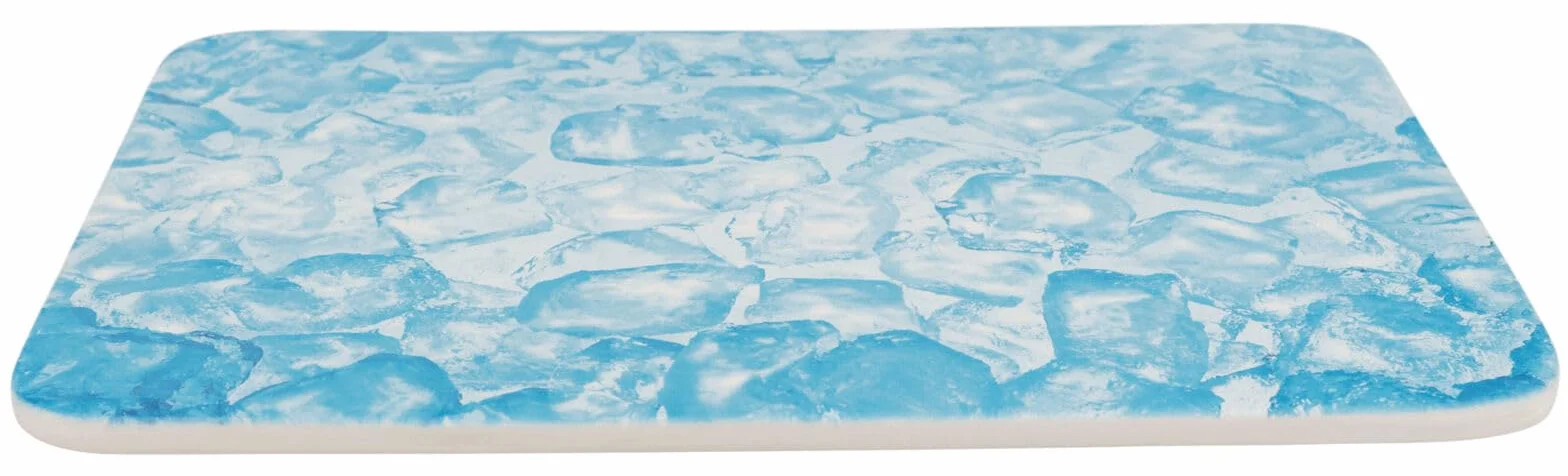 Plateau rafraîchissant pour petits animaux bleu 28 x 20 cm