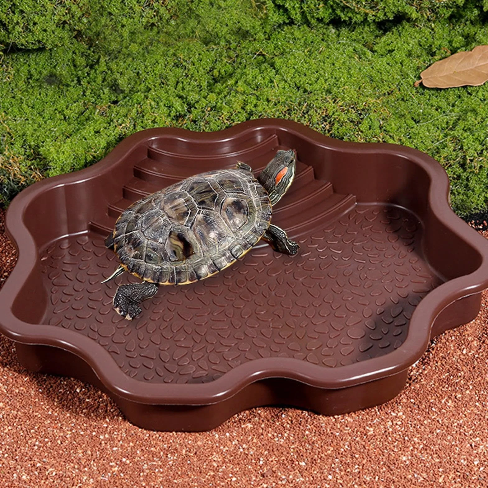 Plat à tremper pour reptiles, bol d'eau et nourriture avec marches pour tortue de piscine