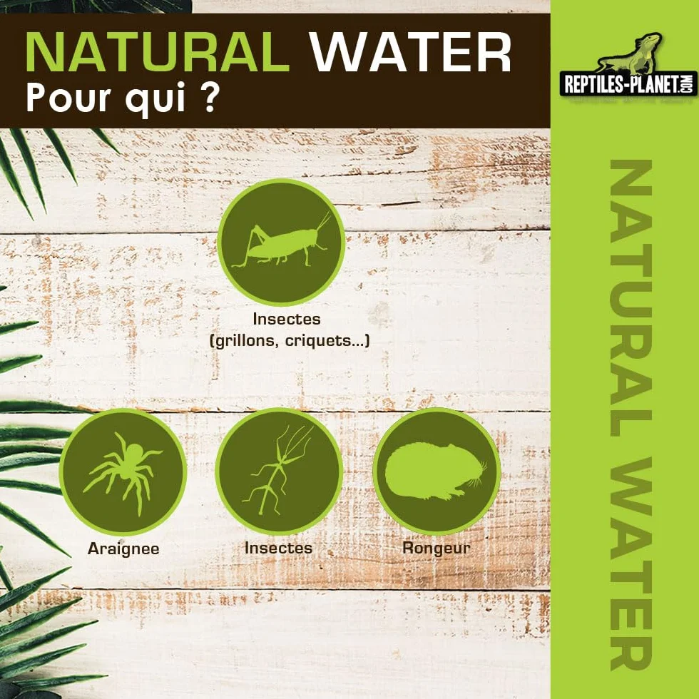 Reptiles Planet - Natural Water - Billes d'Eau Gélifiée - 500 ml