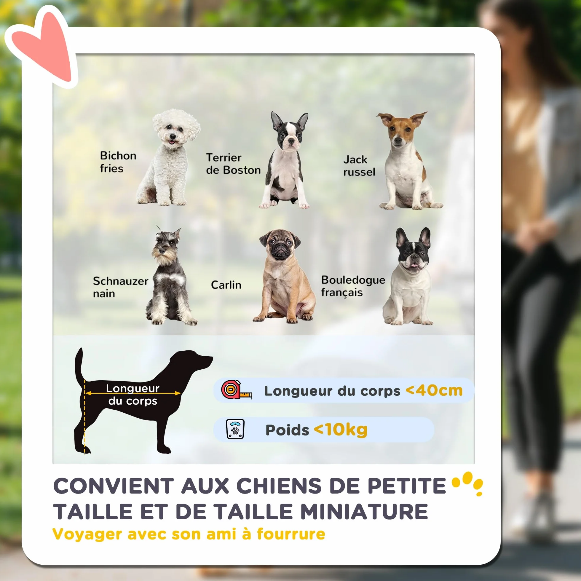 PawHut Poussette buggy pliable pour chien, porte-gobelets, laisse de sécurité, roues 360°, fenêtre à mailles, alliage d'aluminium, chariot chien chat petit miniature gris