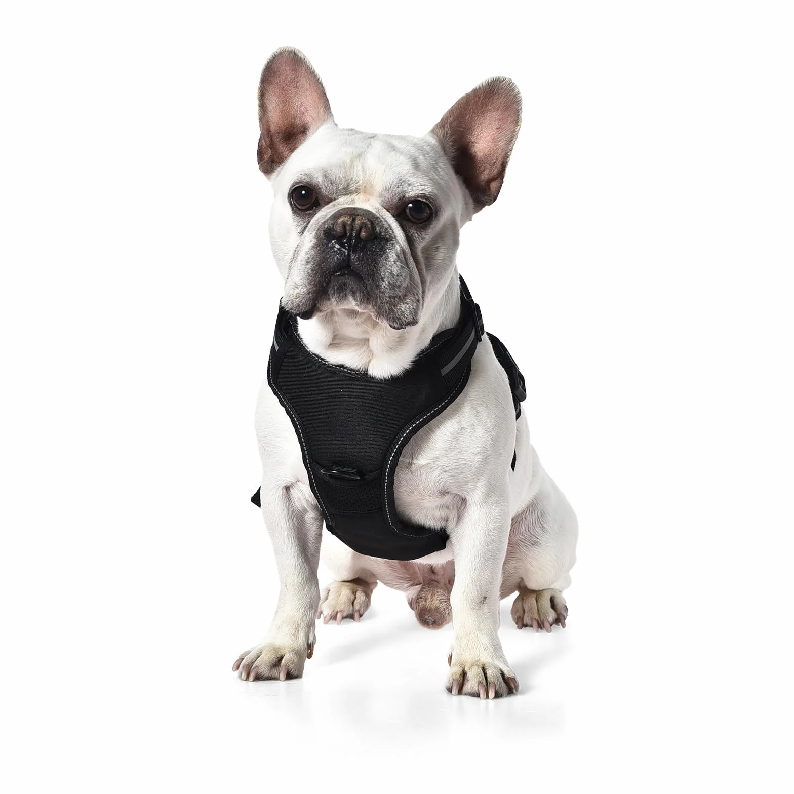 Amazon Basics Harnais pour chien sans traction réglable rembourré bandes réfléchissantes Noir Taille M