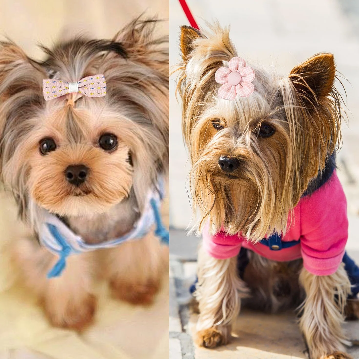 Accessoires de Cheveux pour Animaux de Compagnie, Anneaux de Cheveux Élastiques, 10 Morceaux
