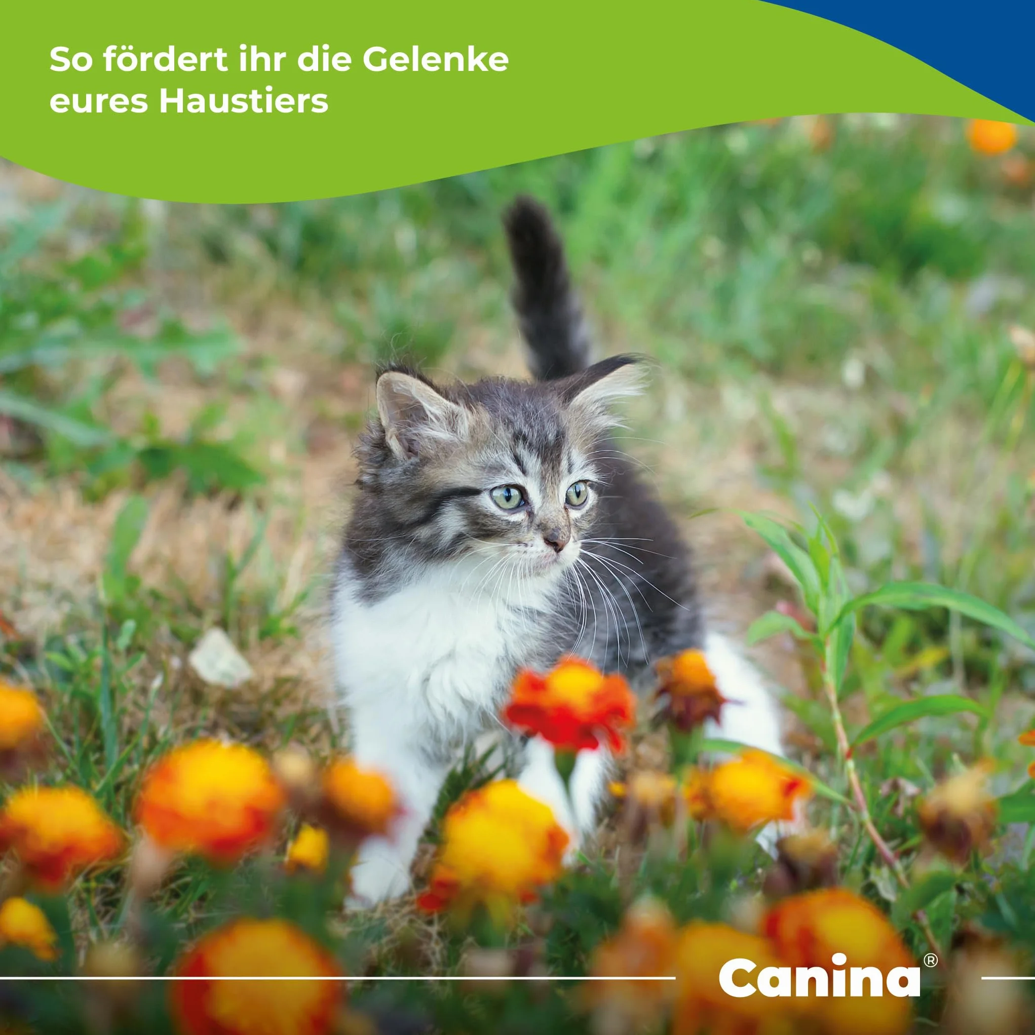 Canina Pharma Velox Gelenkenergie 400 g