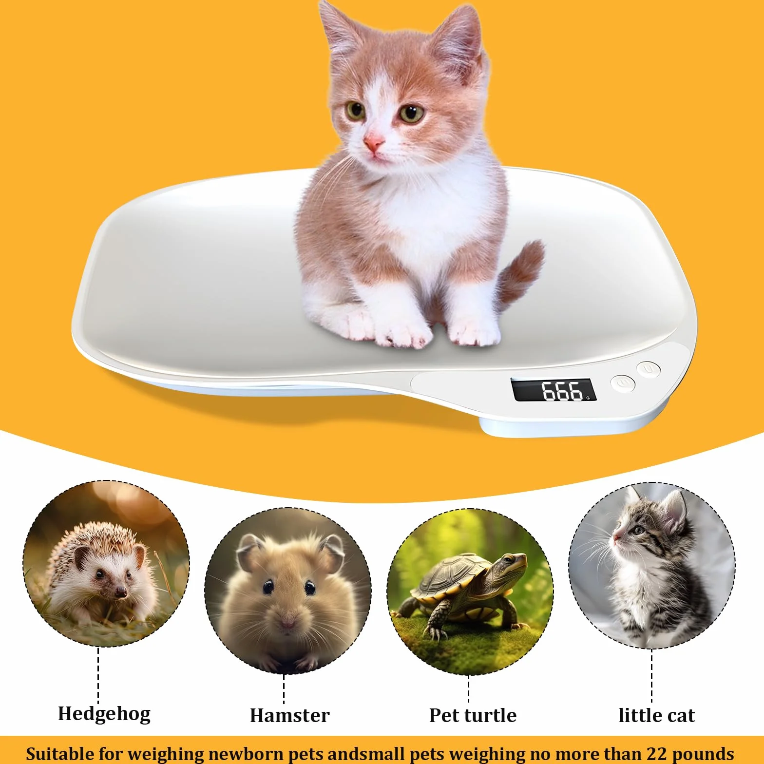 Balance Chat 15kg/1g - Mini Balance Numérique pour Petit Animal avec 3 Modes de Pesée (kg/oz/lb) et Écran LCD