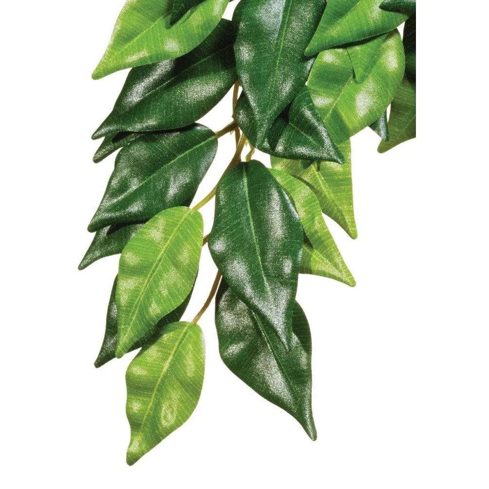 Exo Terra Ficus Medium Roślina do Terrarium PT3040