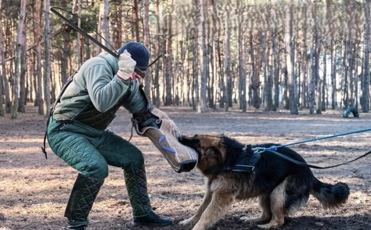 Cravache pour Chien en Cuir de Vachette avec Poignée Dressage Berger Allemand