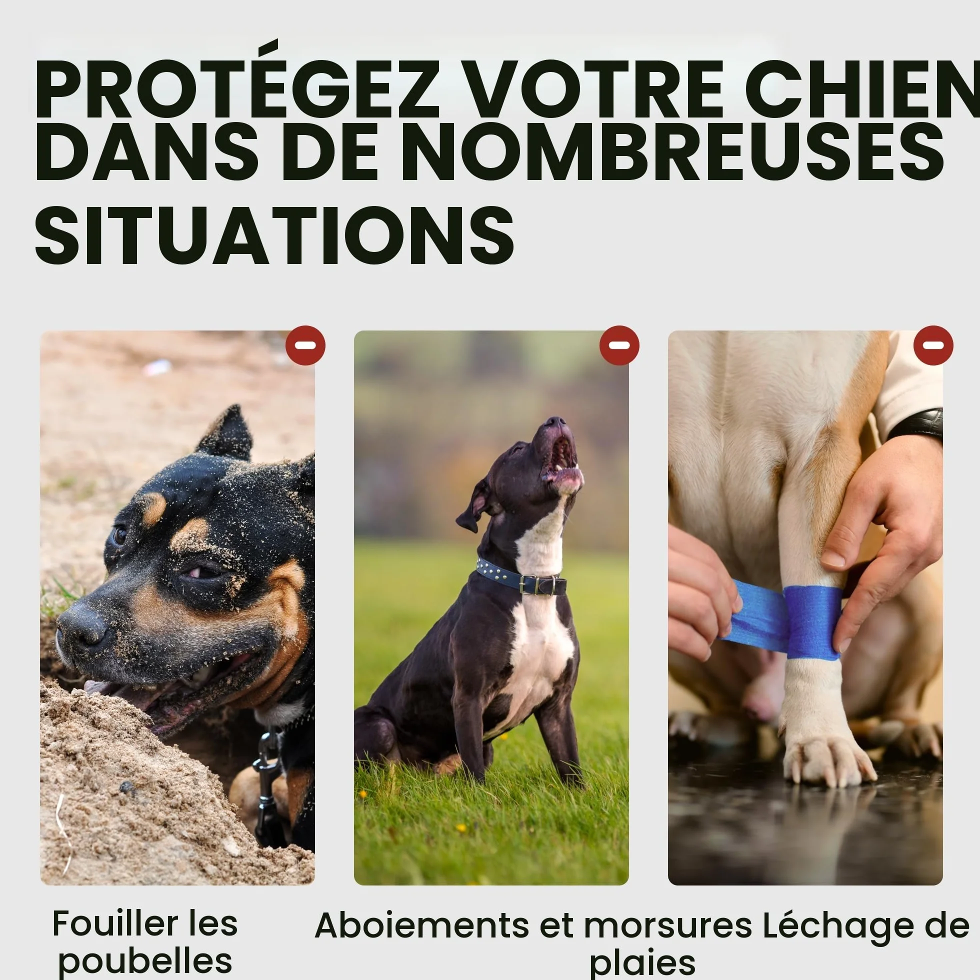BronzeDog Muselière pour Chien en métal Amstaff Panier en Fil de Fer Sangles réglables en Cuir pour Grands Chiens