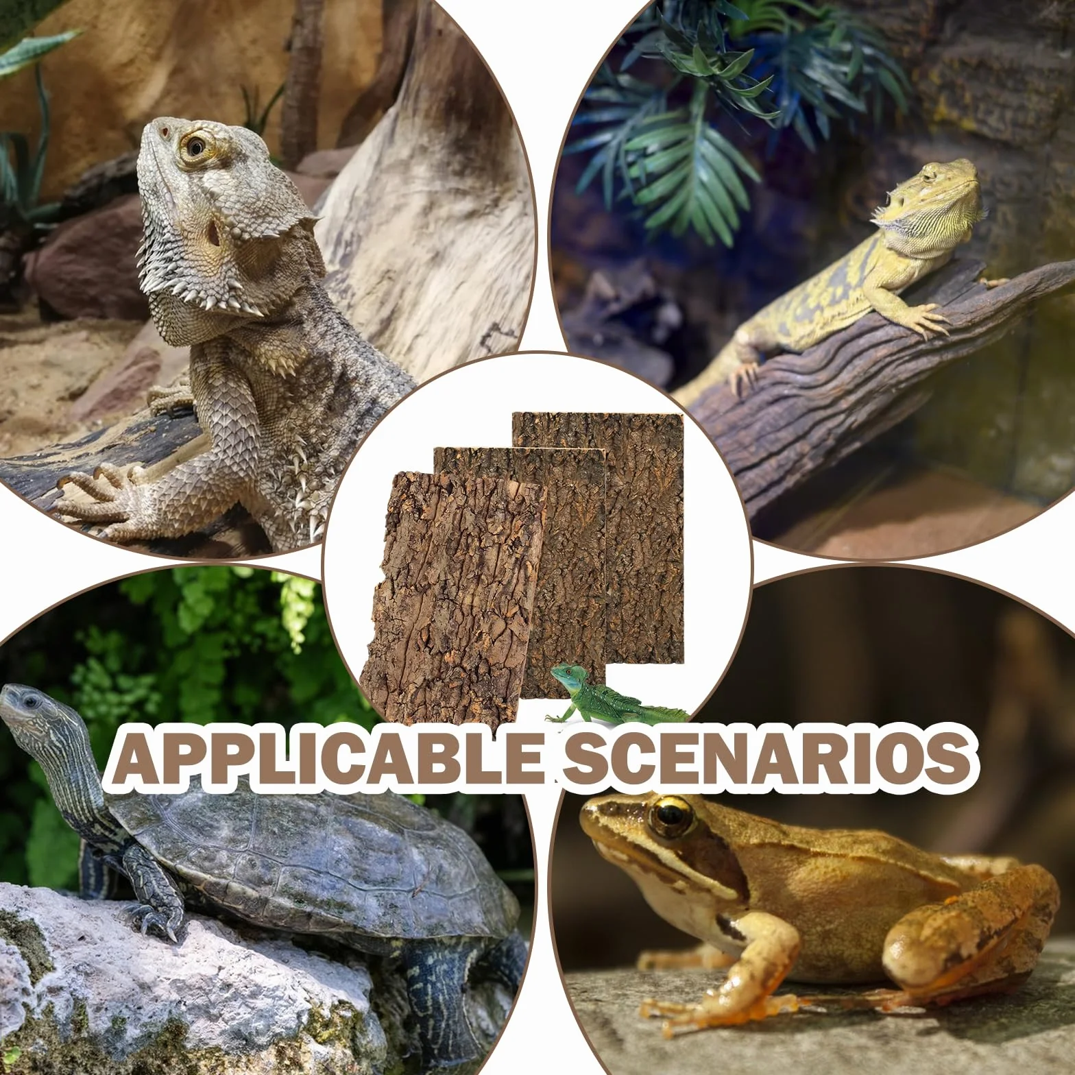 Lot de 3 écorces de liège pour terrarium 15 x 30 cm - Décoration d'arbre - Plaque de fond pour reptiles