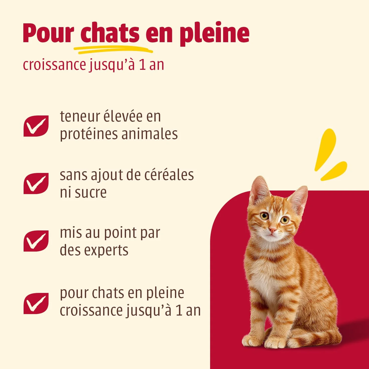 Carny Kitten Mix Variation Nourriture Humide pour Chats 12 x 200 g sans céréales ni Sucre pour Chatons jusqu'à 1 an
