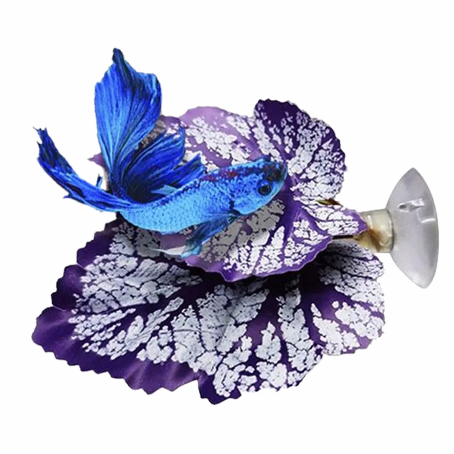 XIAOXIAOYU Feuille de Repos pour Poisson Betta, Coussinet de Feuilles Flexible et Sûr pour Aquarium