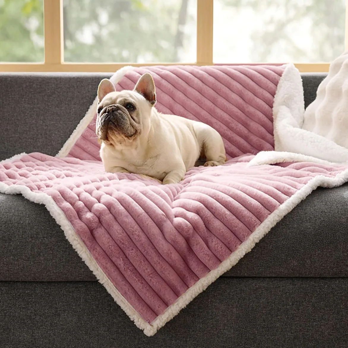 Couverture imperméable en polaire sherpa lavable pour animal de compagnie de taille moyenne et grande pour canapé, lit et protection de siège de voiture - Jeté en peluche douce pour chiot et chaton