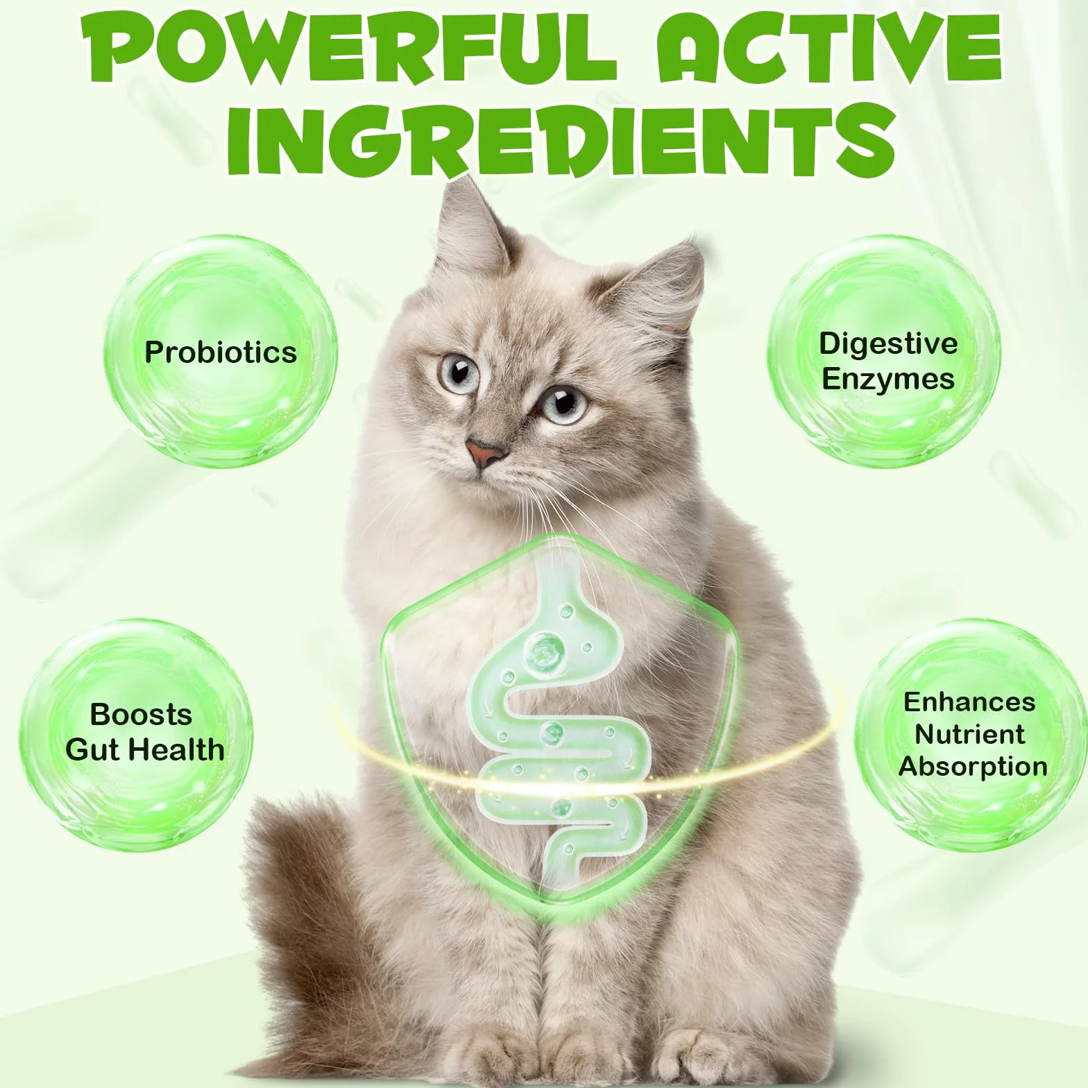 Probiotiques pour chats 3 en 1 60 ml avec enzymes digestives santé intestinale chatons adultes