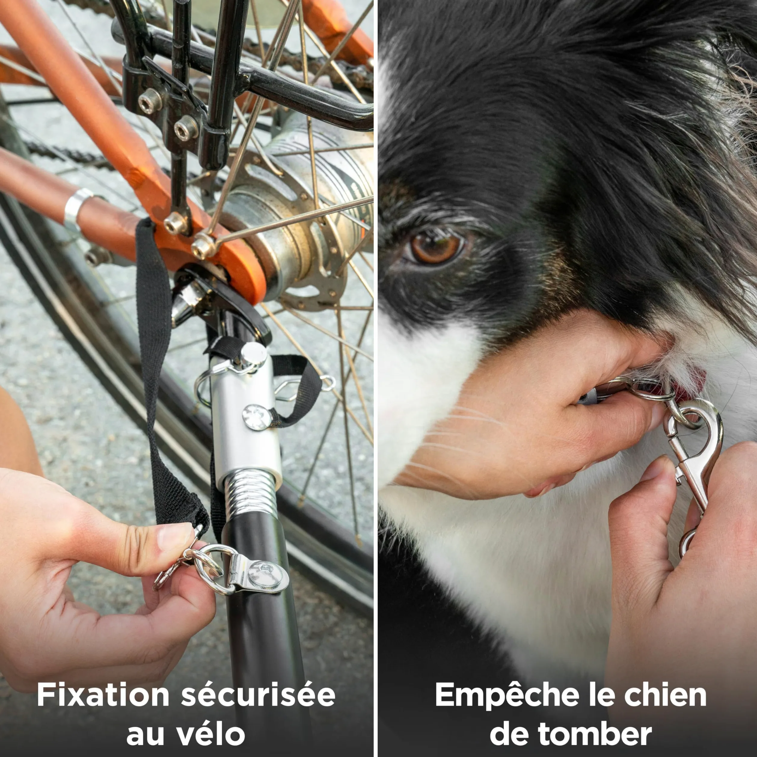 Remorque Vélo Chien 2-en-1 – Poussette et Chariot Pliable avec Coussin – Carriole étanche Jusqu’à 30 kg – Compatible avec vélos électriques – Noir